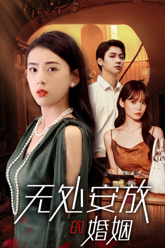 无处安放的婚姻(蓝光)