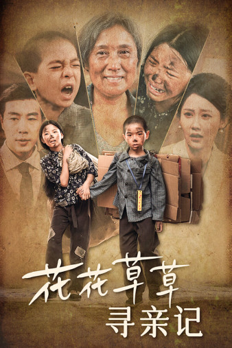 花花草草寻亲记（1080）