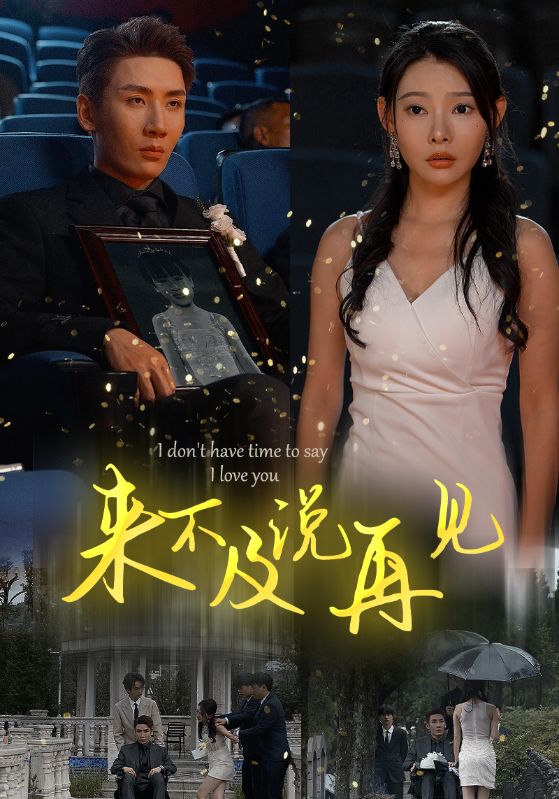来不及说再见（1080）