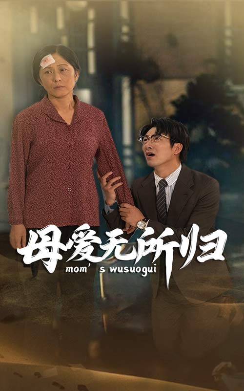 母爱无所归（1080）