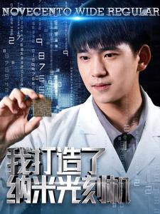 我打造了纳米光刻机（1080）