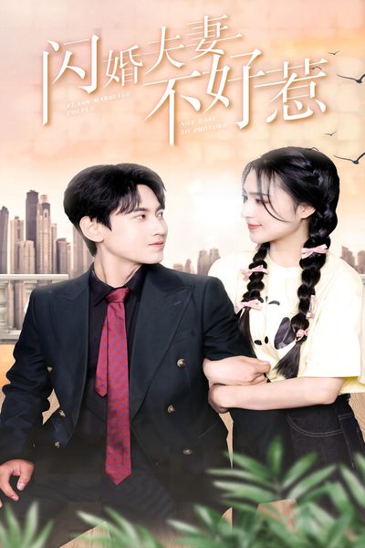 闪婚夫妻不好惹（蓝光）