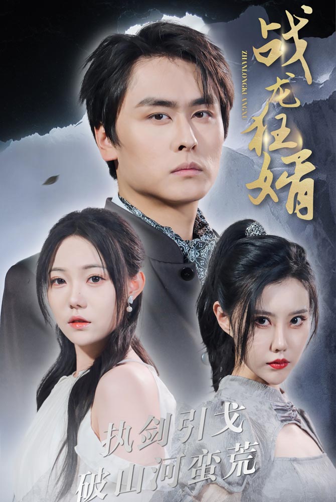 战龙狂婿（蓝光）
