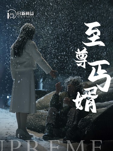 至尊丐婿（1080）
