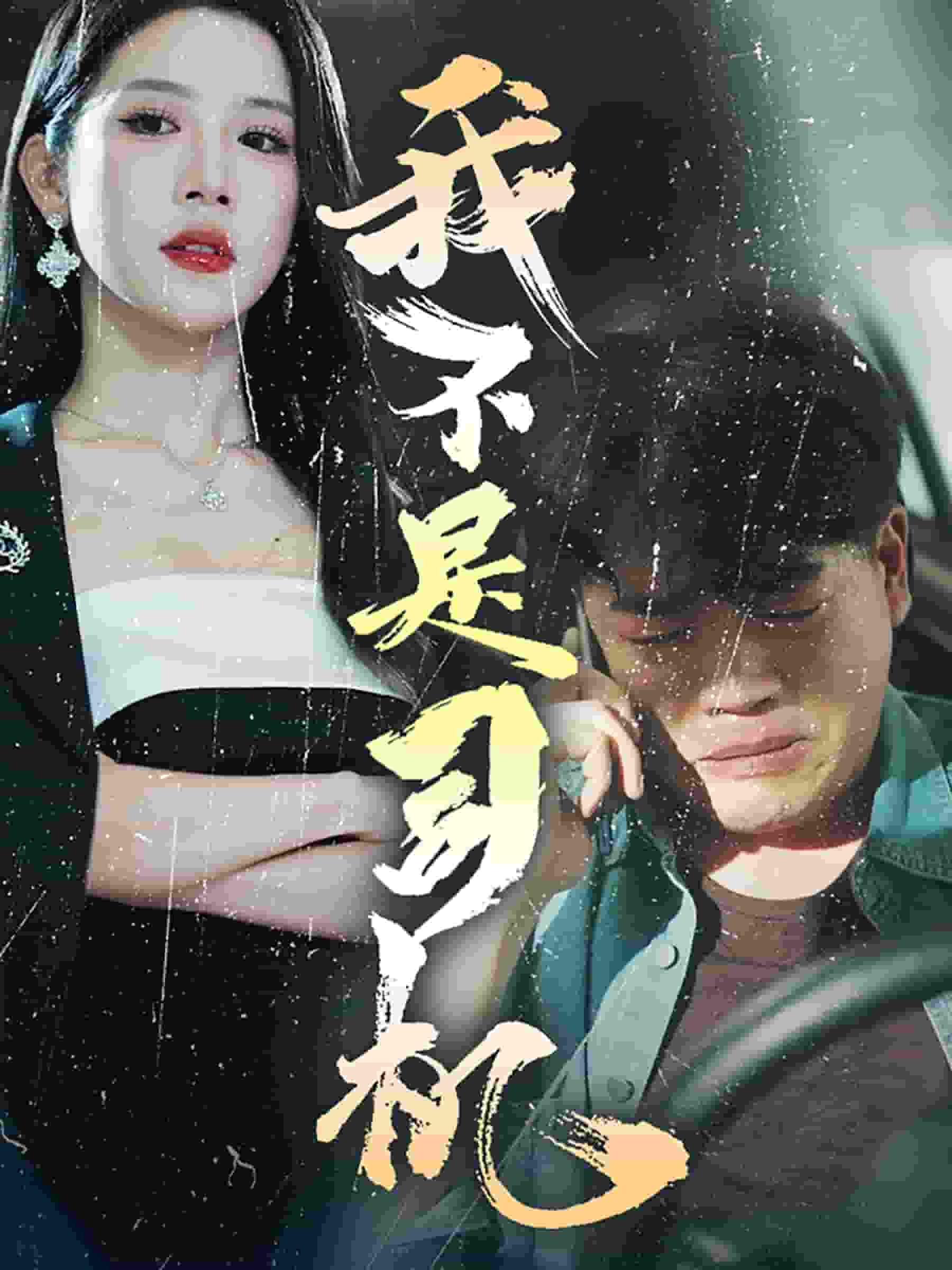 我不是司机（蓝光）