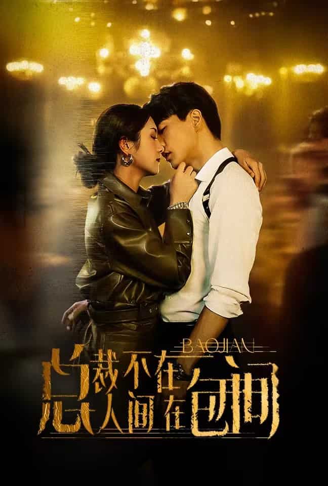 总裁不在人间在包间（1080）