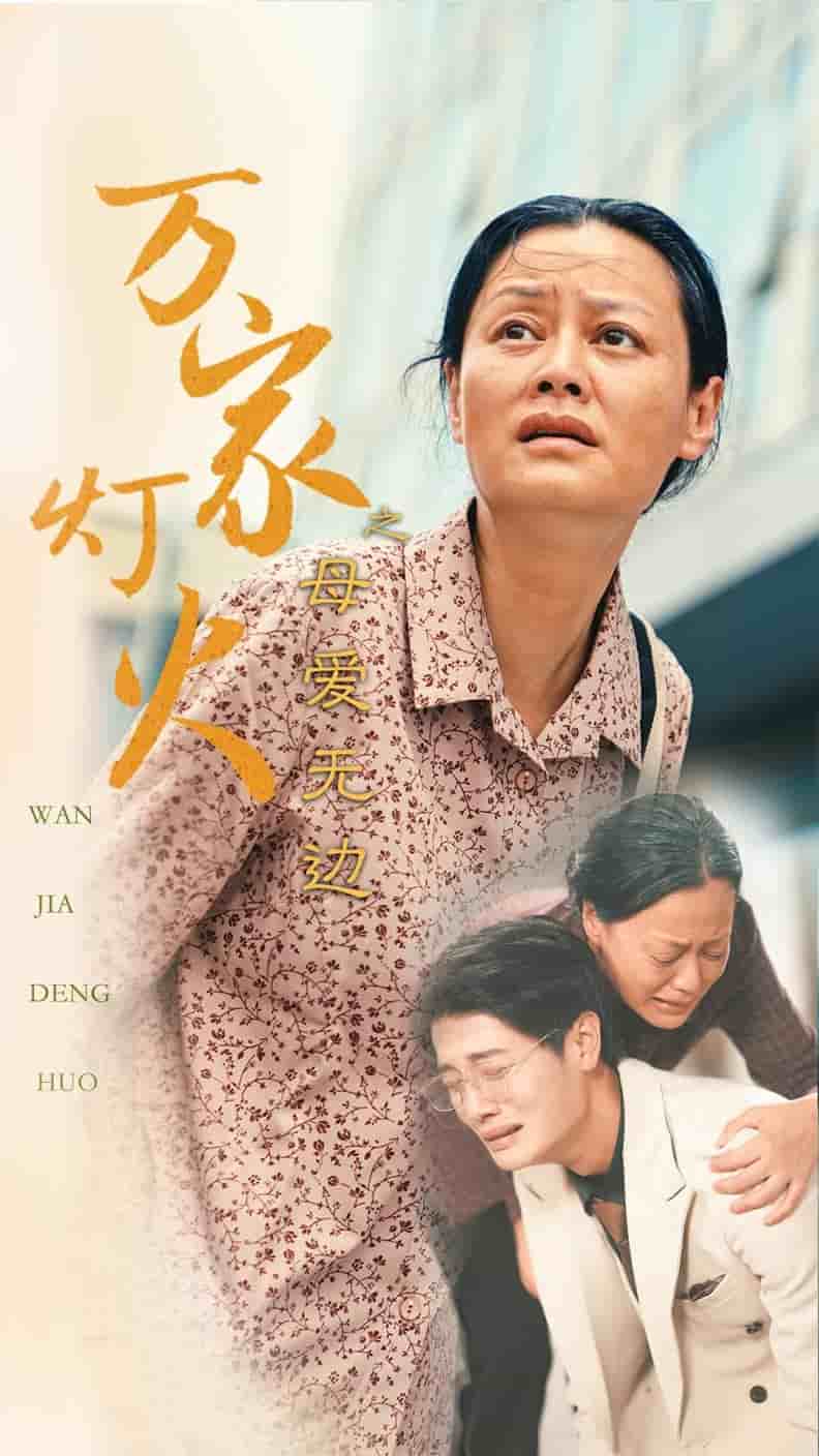 万家灯火之母爱无边（蓝光）