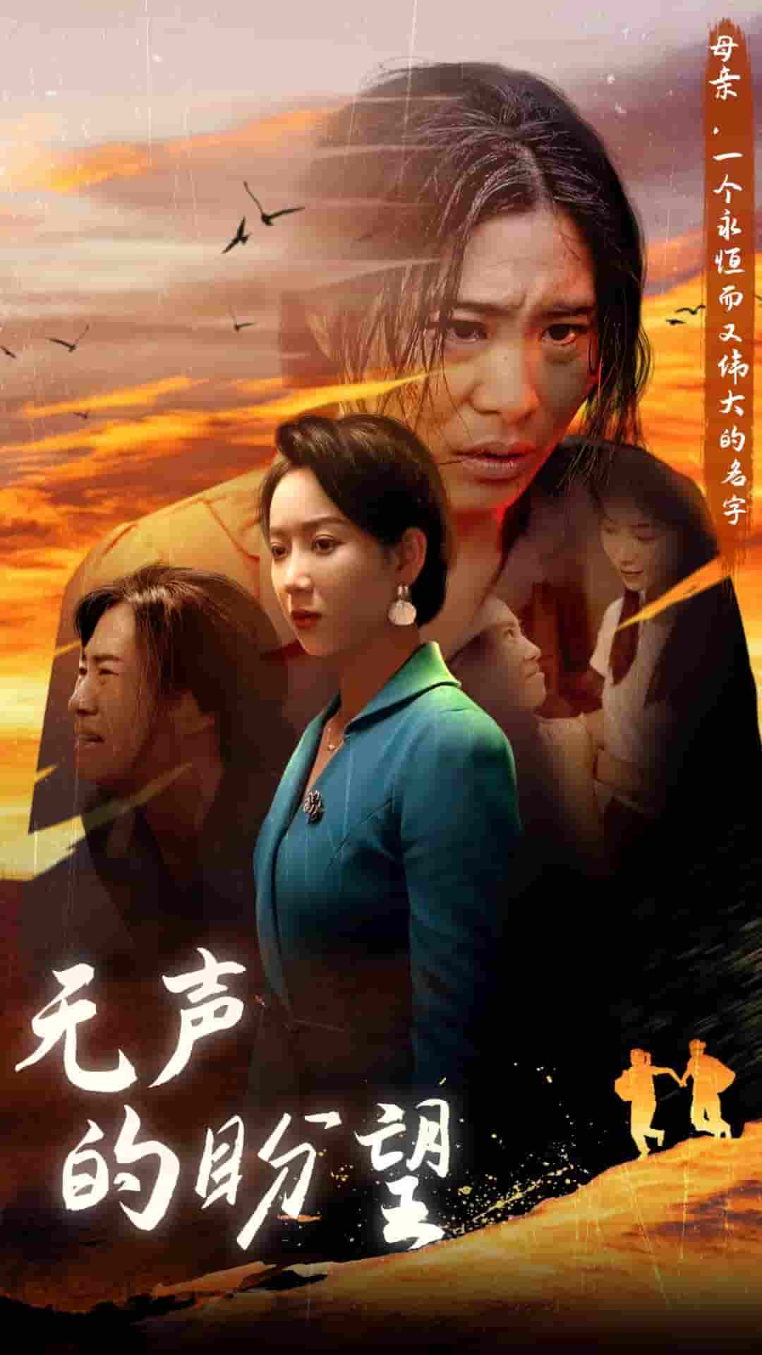 无声的盼望（1080）