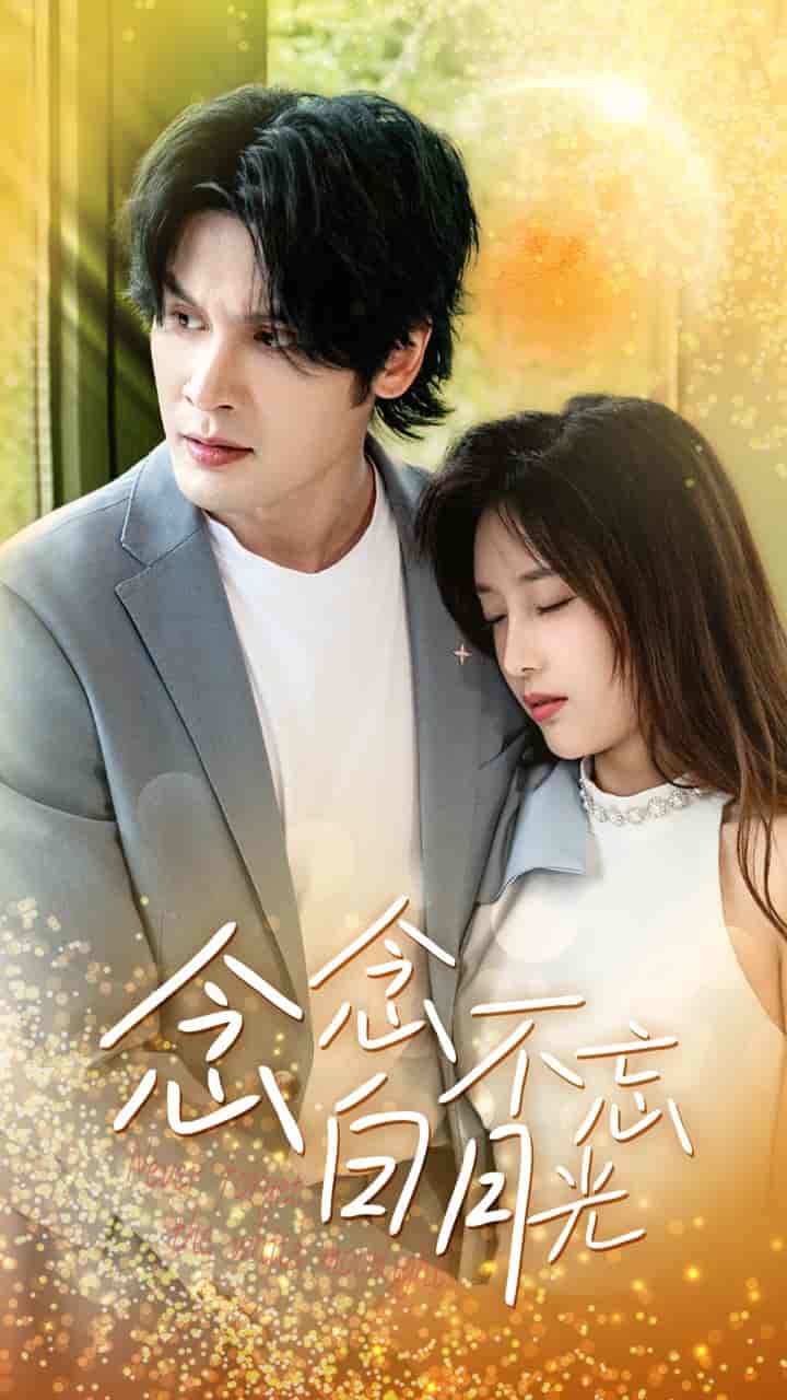 念念不忘白月光（蓝光）