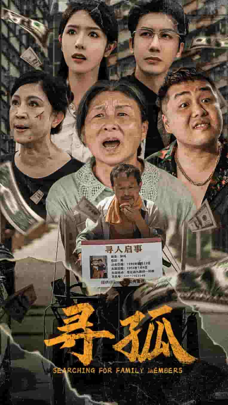 寻孤（蓝光）