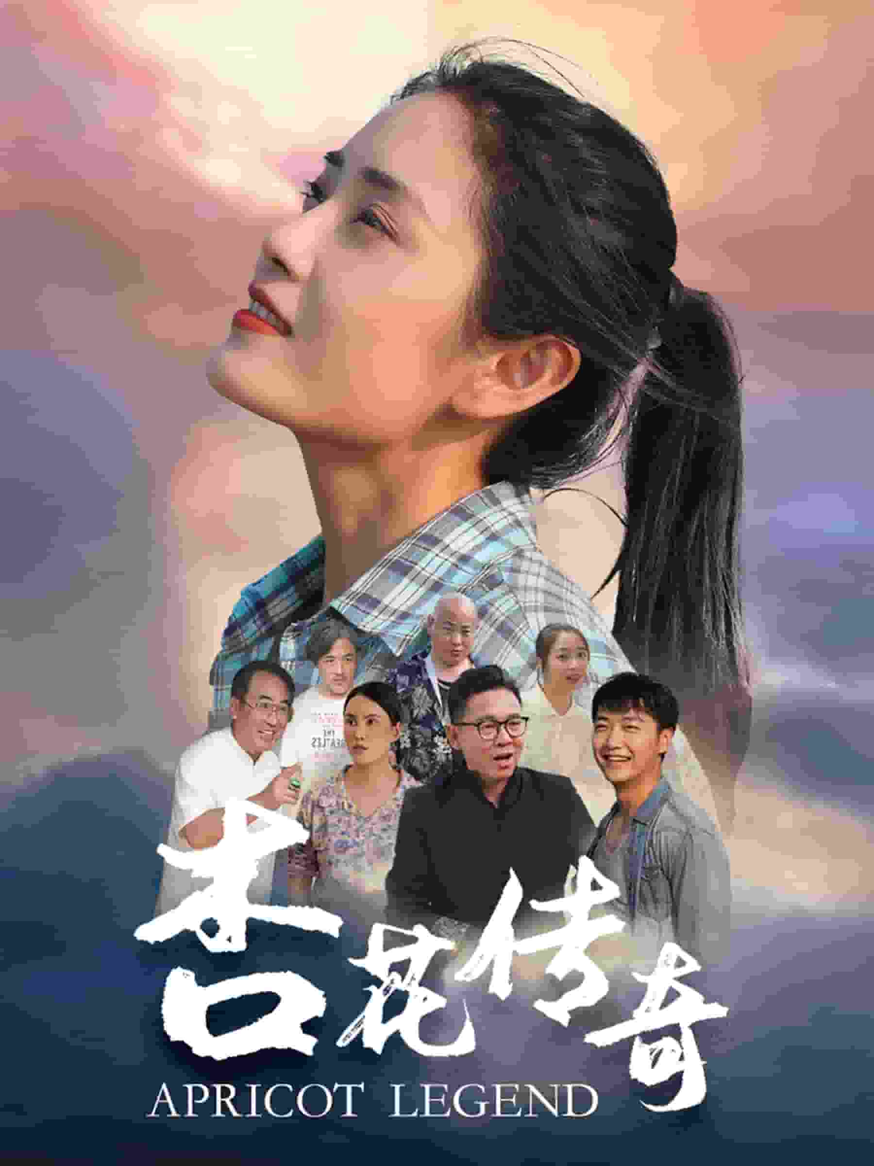 杏花传奇（1080）