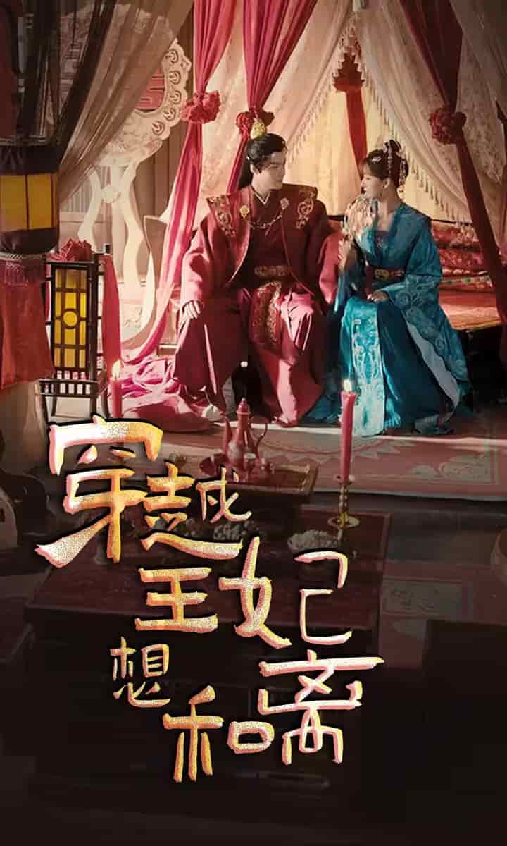 穿越王妃想和离（蓝光）