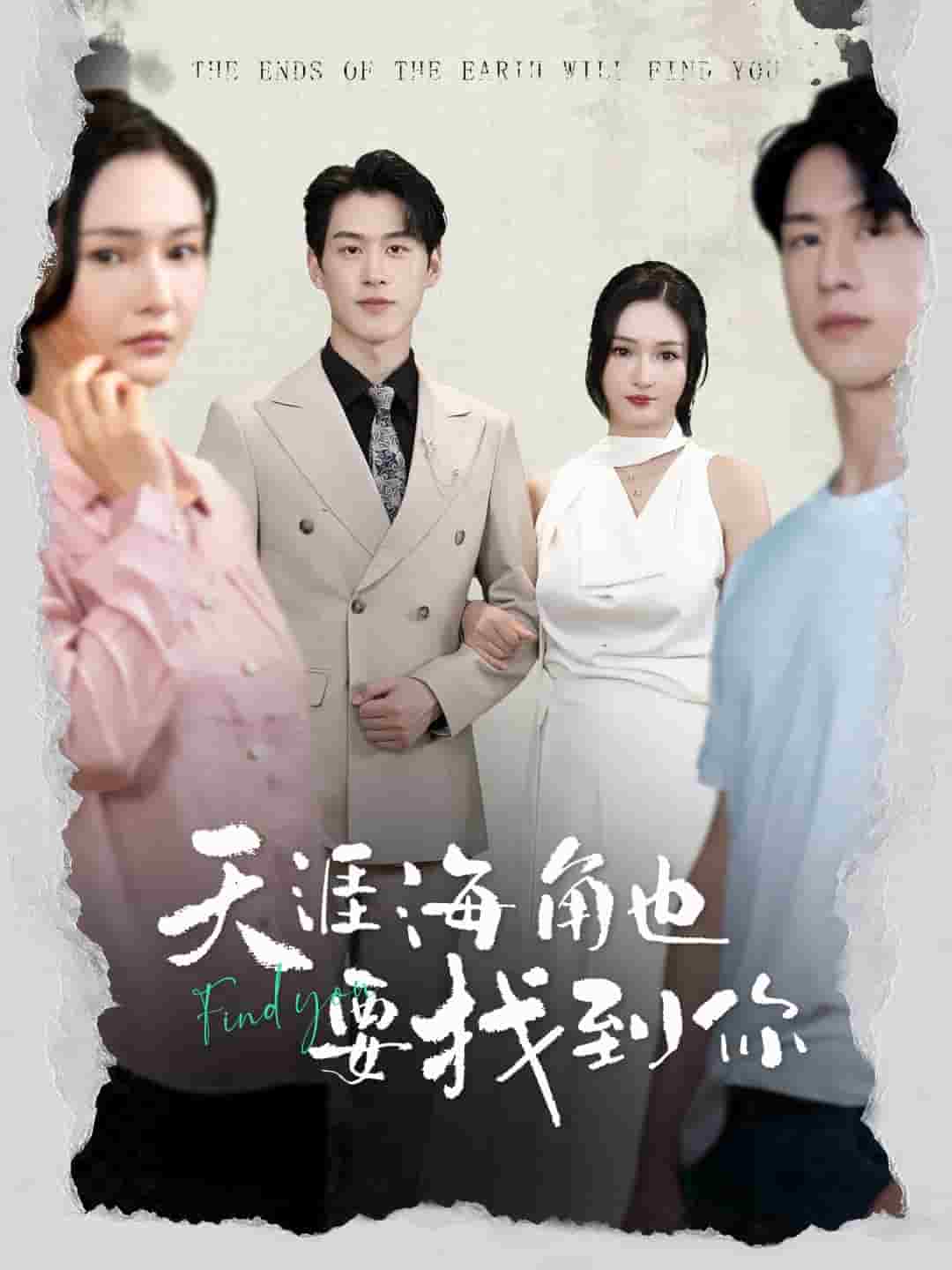 天涯海角也要找到你（蓝光）
