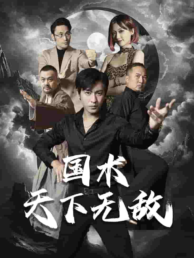 国术天下无敌（1080）