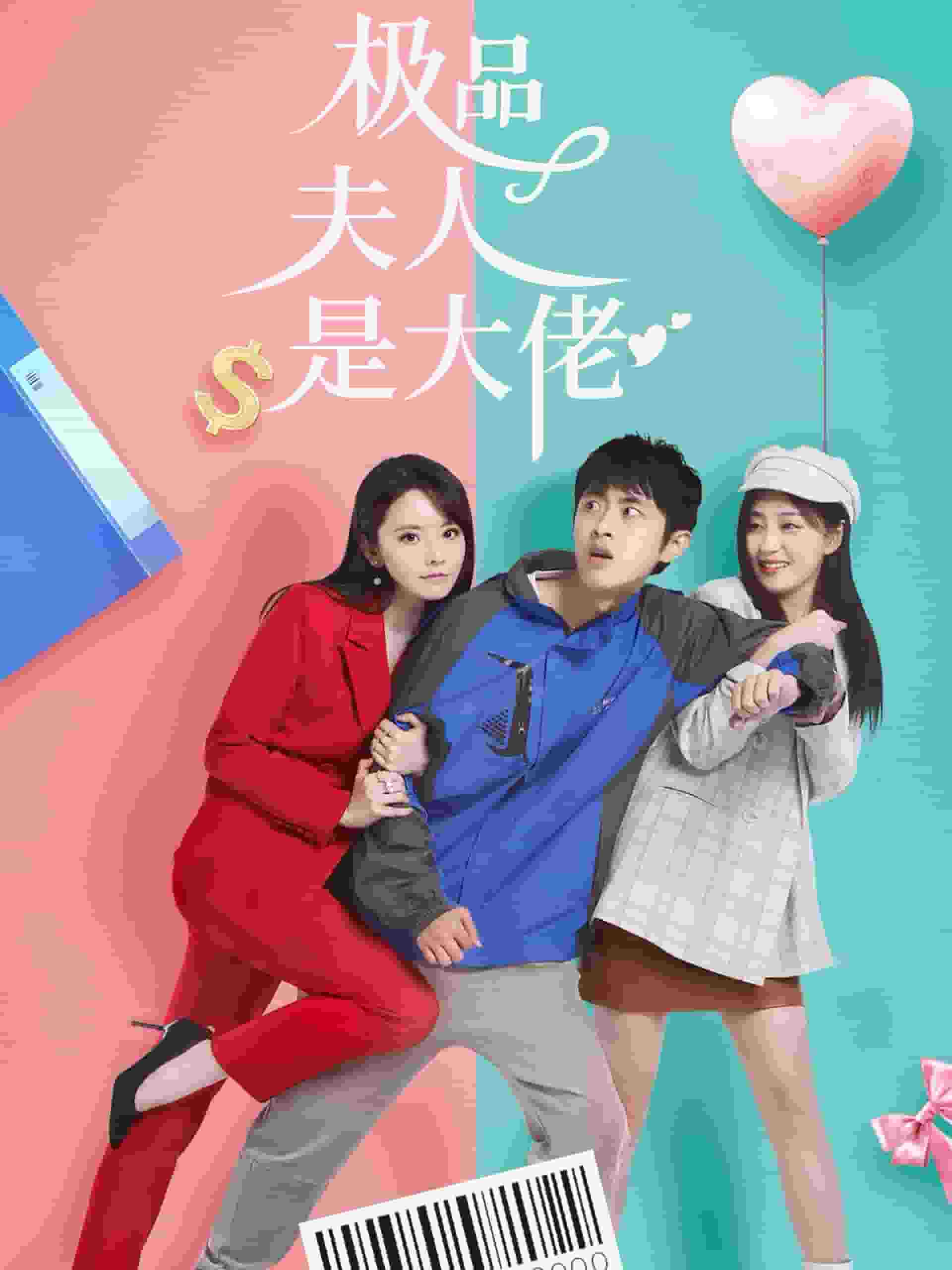 极品夫人是大佬（蓝光）