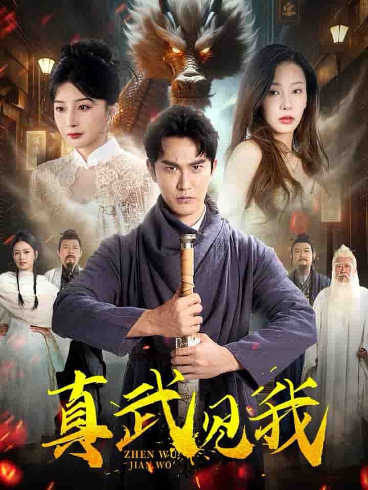 真武见我（蓝光）