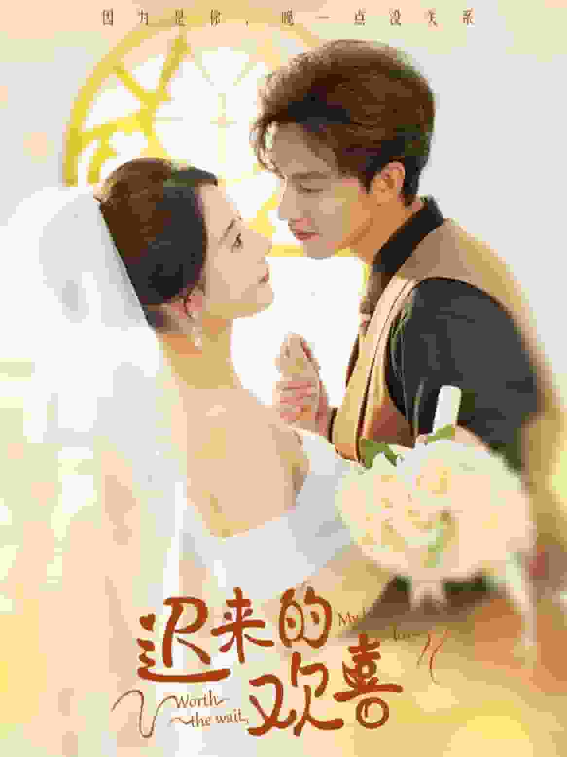 迟来的欢喜（蓝光）