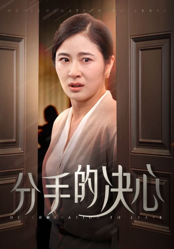 分手的决心短（蓝光）