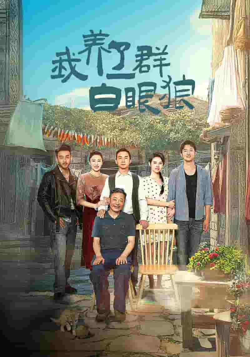 家家有本难念的经短（蓝光）