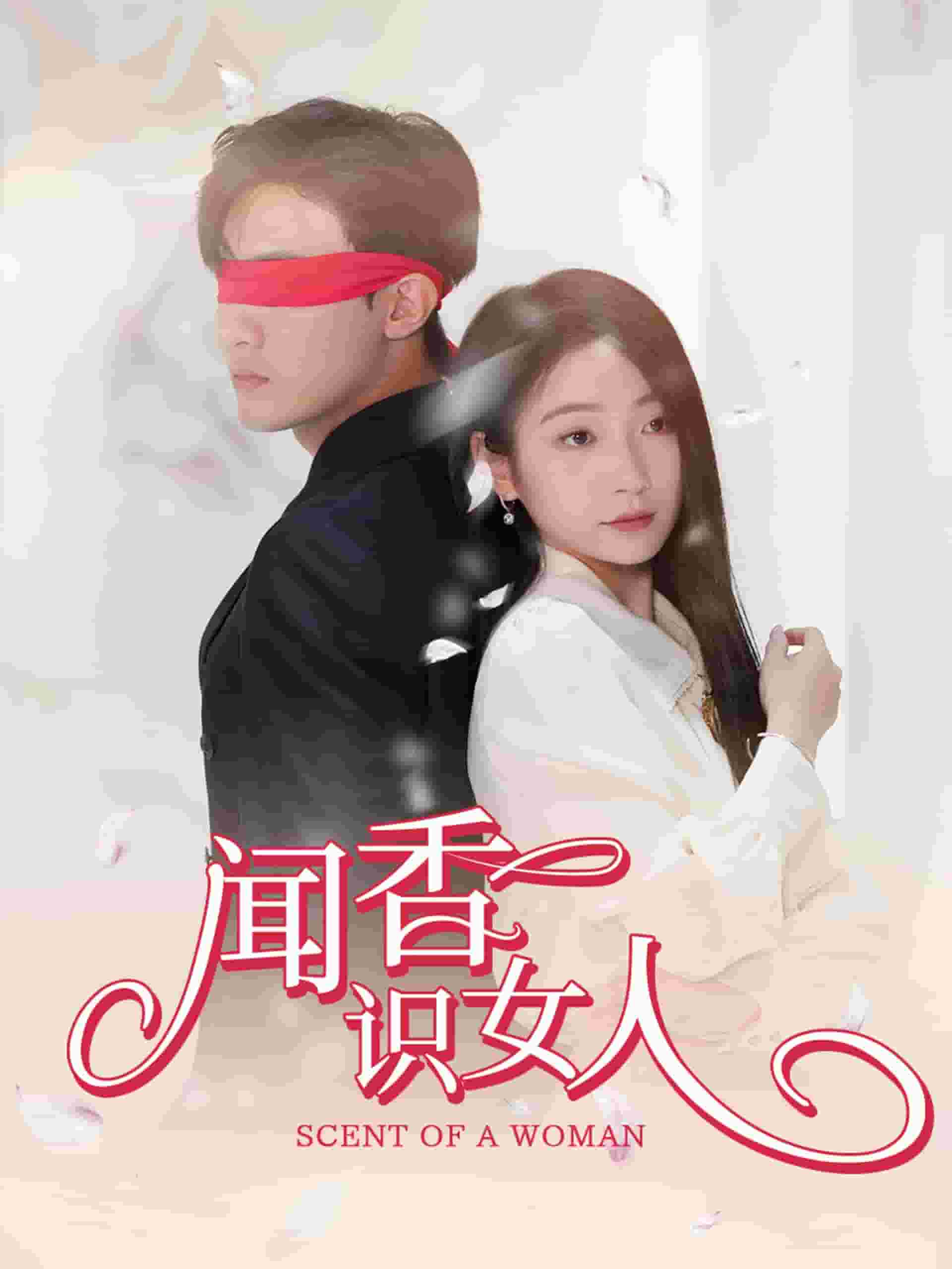 闻香识女人短（4K）