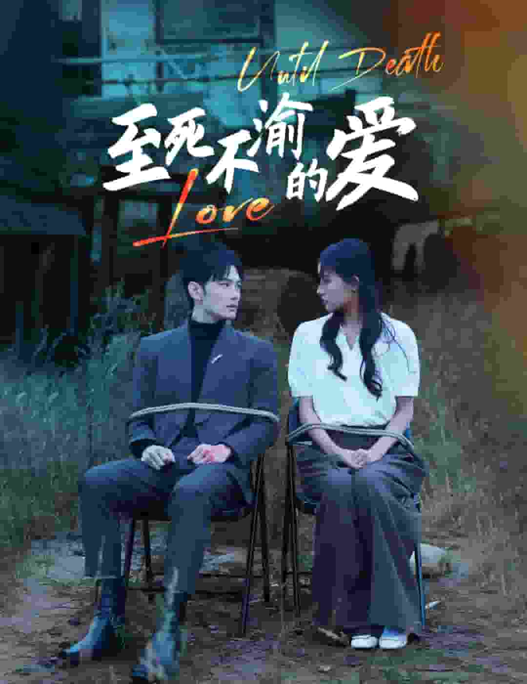 至死不渝的爱（1080）