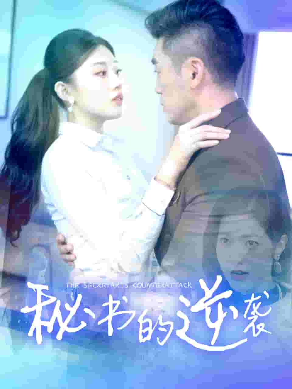 秘书的逆袭（蓝光）