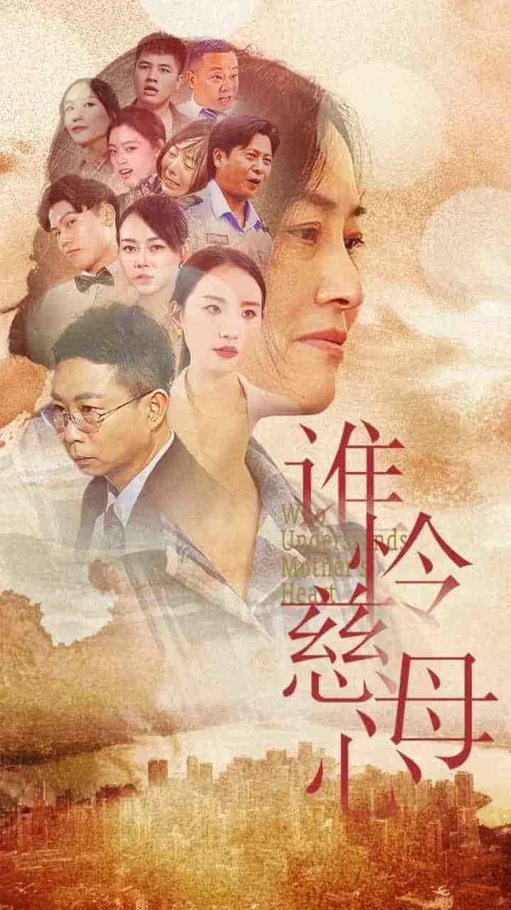 谁怜慈母心（蓝光）