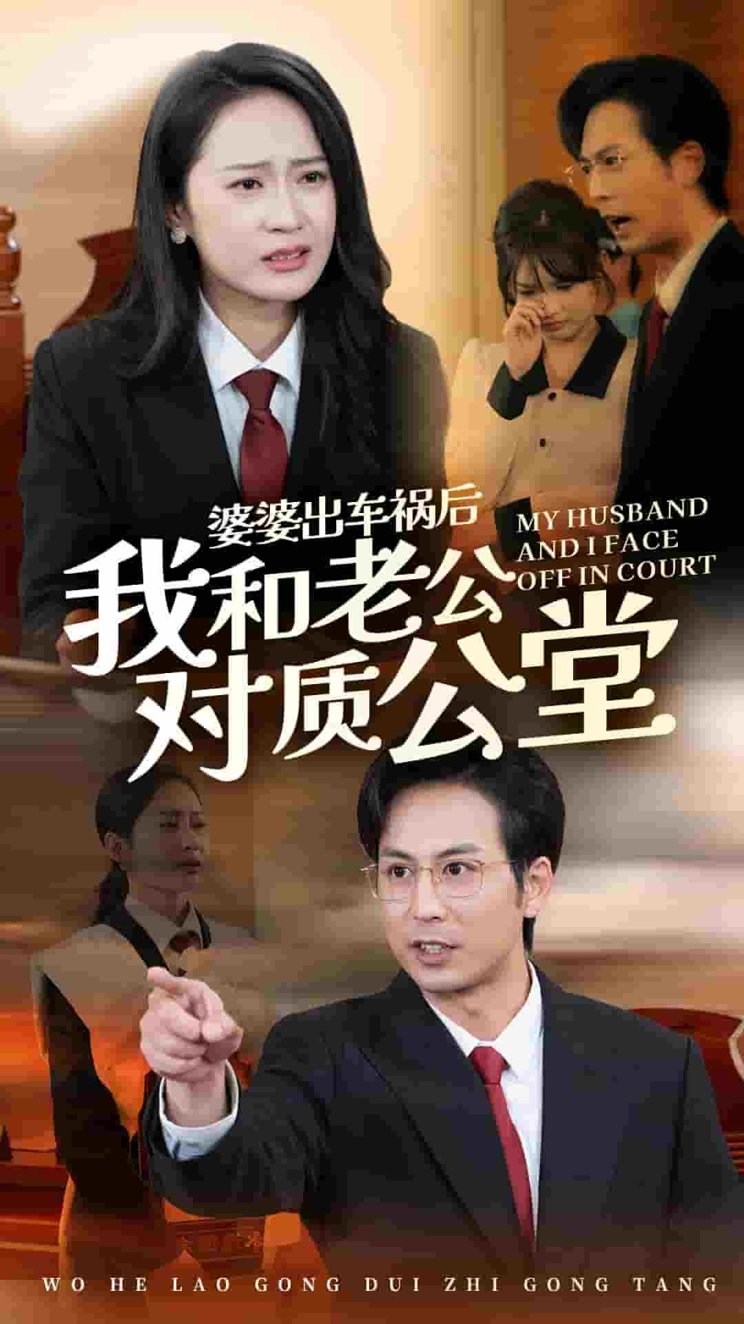婆婆出车祸后我和老公对质公堂（蓝光）
