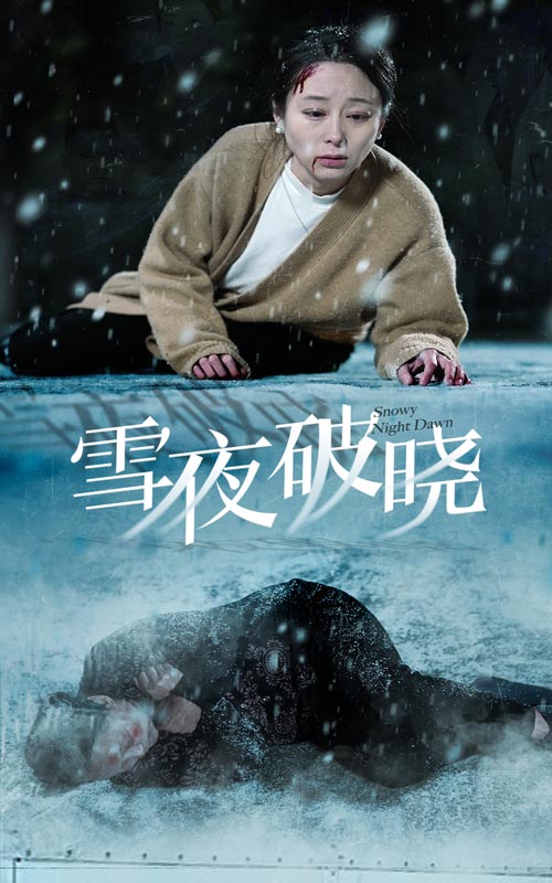 雪夜破晓（蓝光）