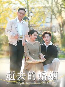 逝去的婚姻(1080)
