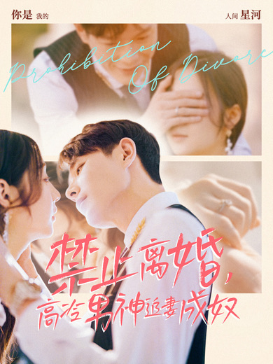 禁止离婚高冷男神追妻成奴（1080）