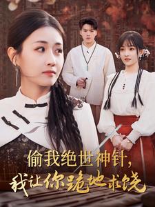 偷我绝世神针我让你跪地求饶（1080）