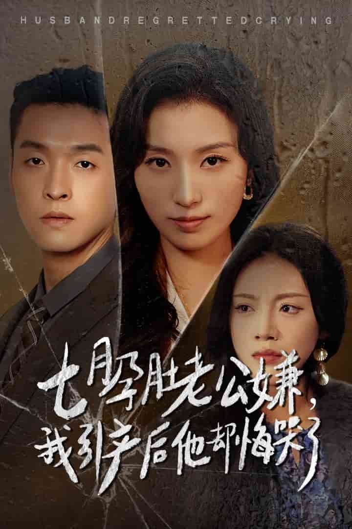 七月孕肚老公嫌我引产后他却悔哭了（蓝光）
