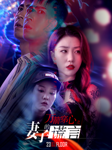 万箭穿心之妻子的谎言（蓝光）