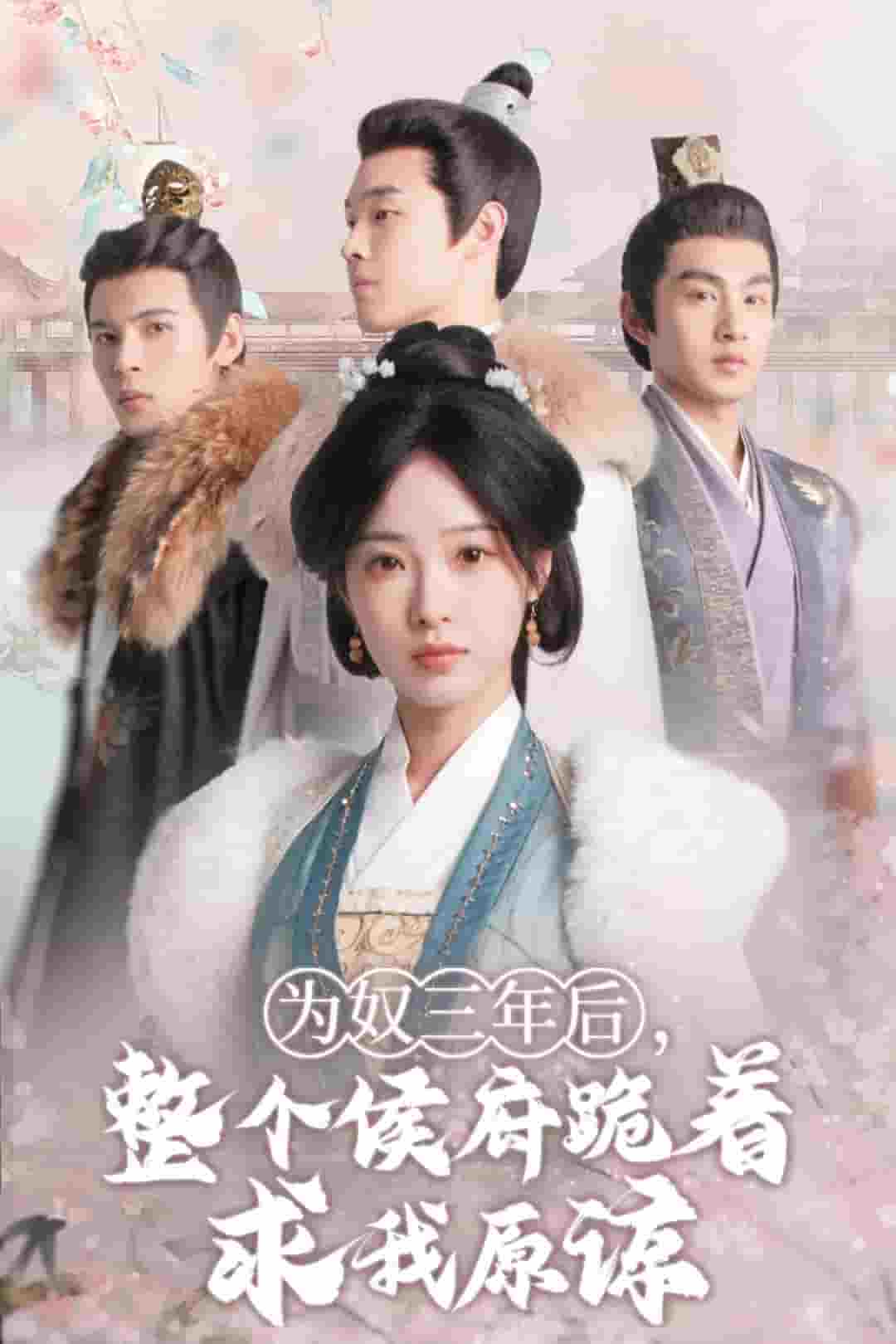 为奴三年后整个侯府跪着求我原谅（蓝光）