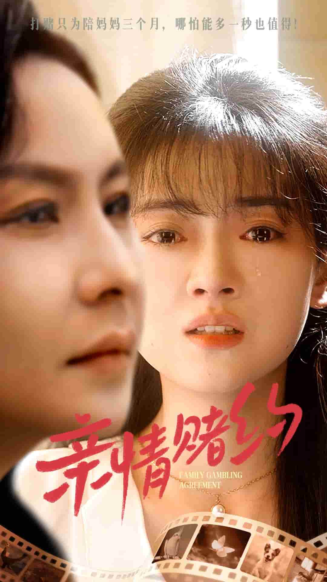 亲情赌约（1080）