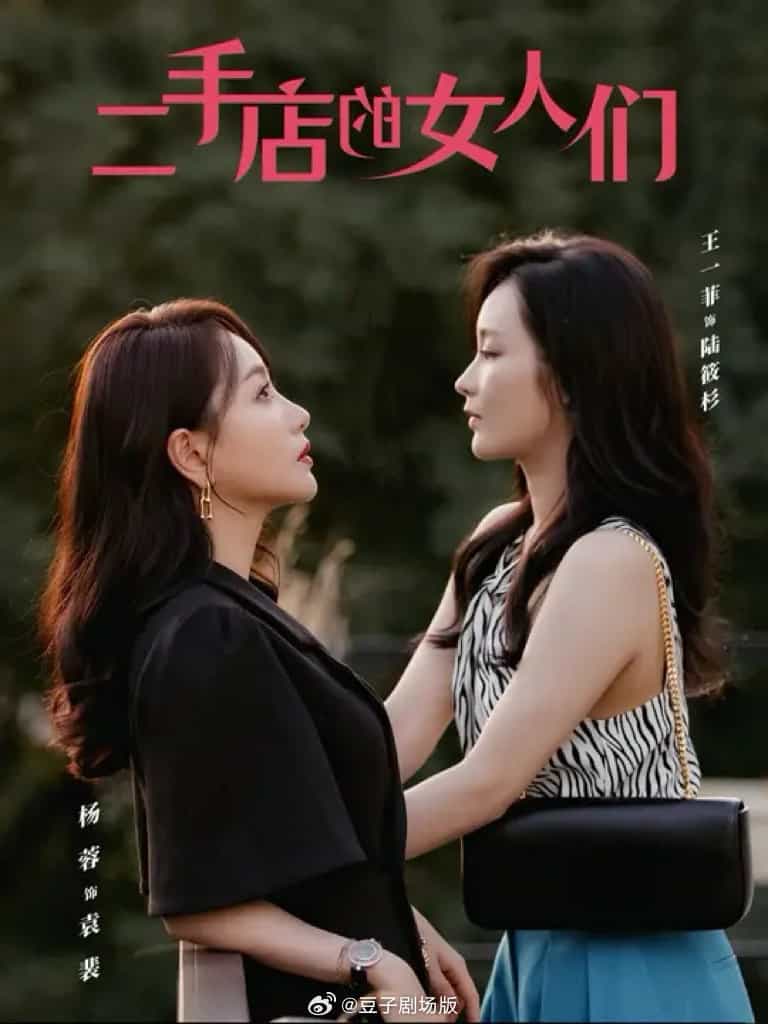二手店的女人们（蓝光）