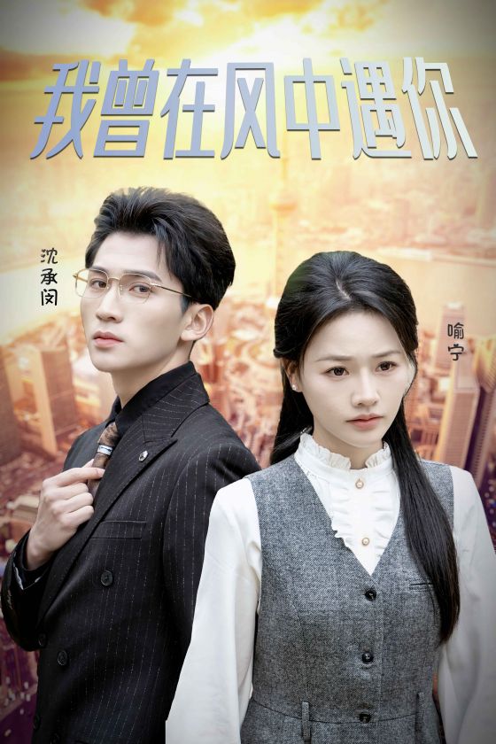 我曾在风中遇你（1080）