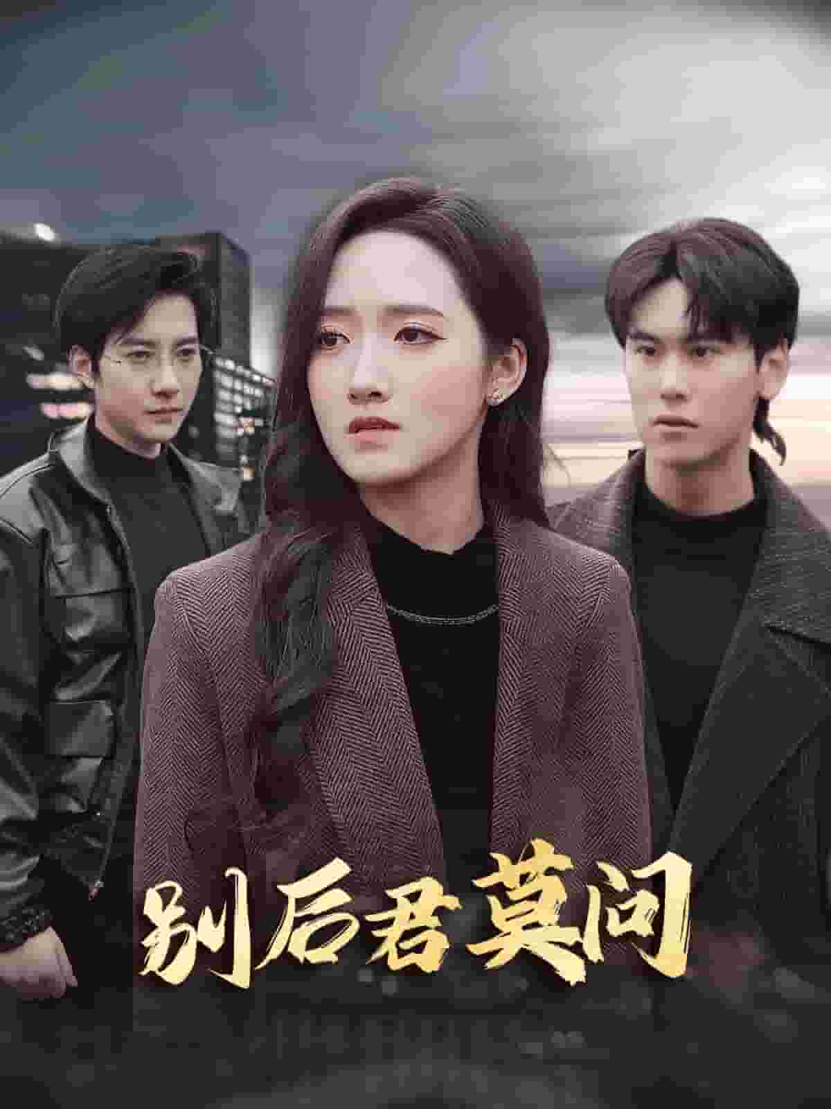 别后悠悠君莫问（1080）