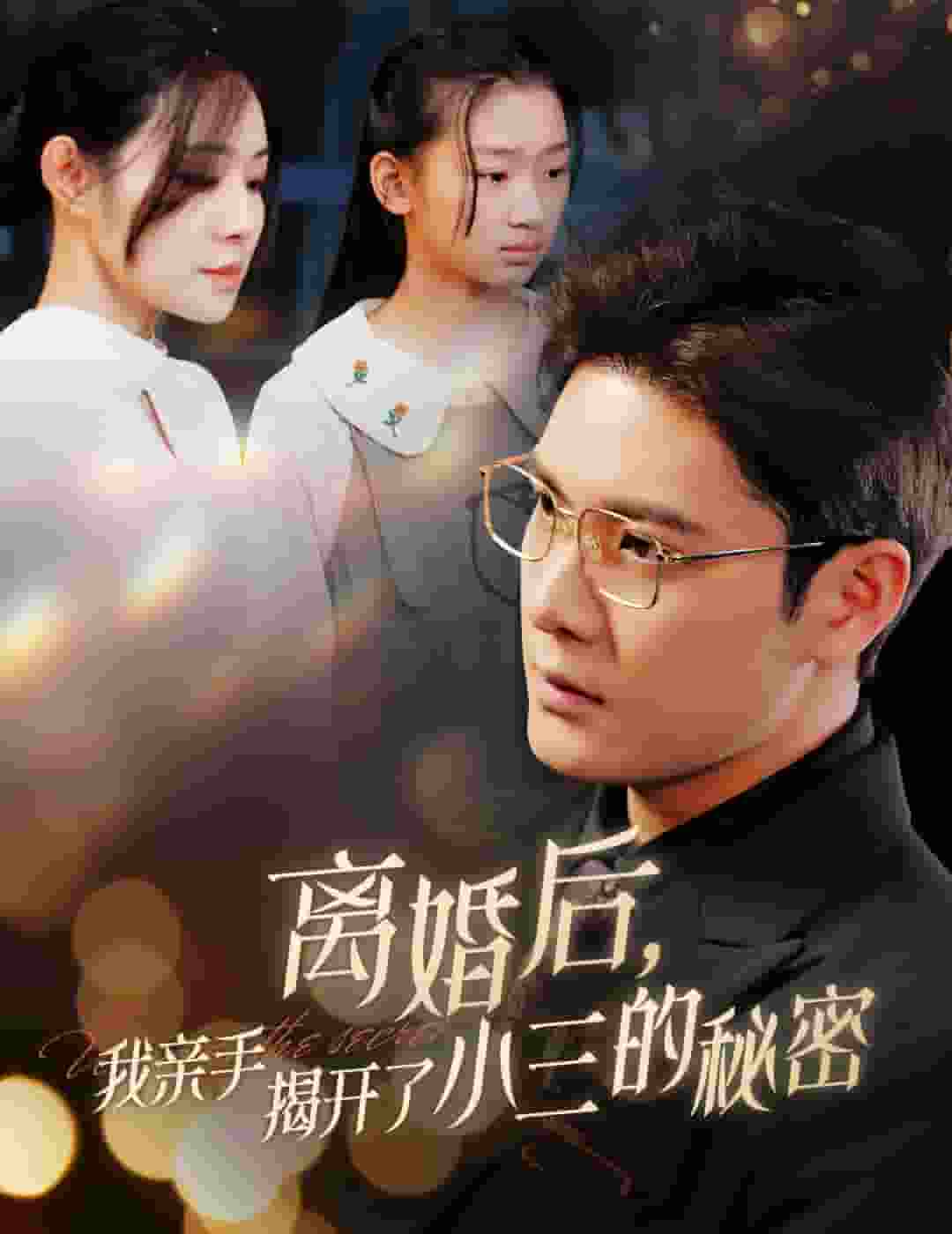 离婚后我亲手揭开了小三的秘密（4K）
