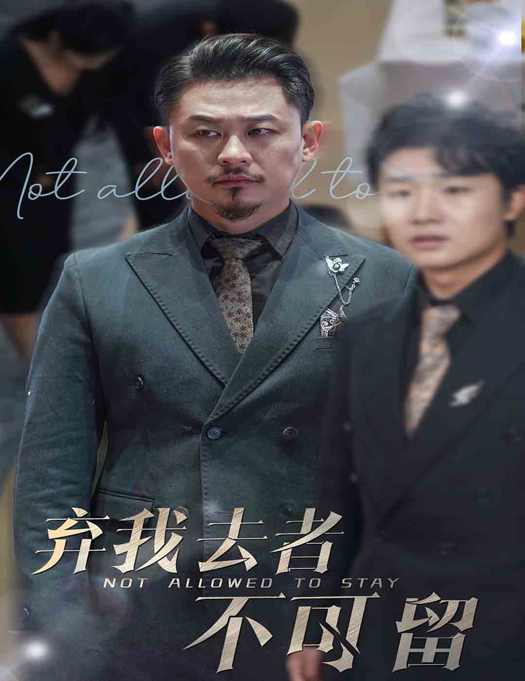 弃我去者不可留（蓝光）