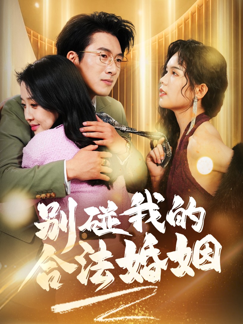 别碰我的合法婚姻（蓝光）