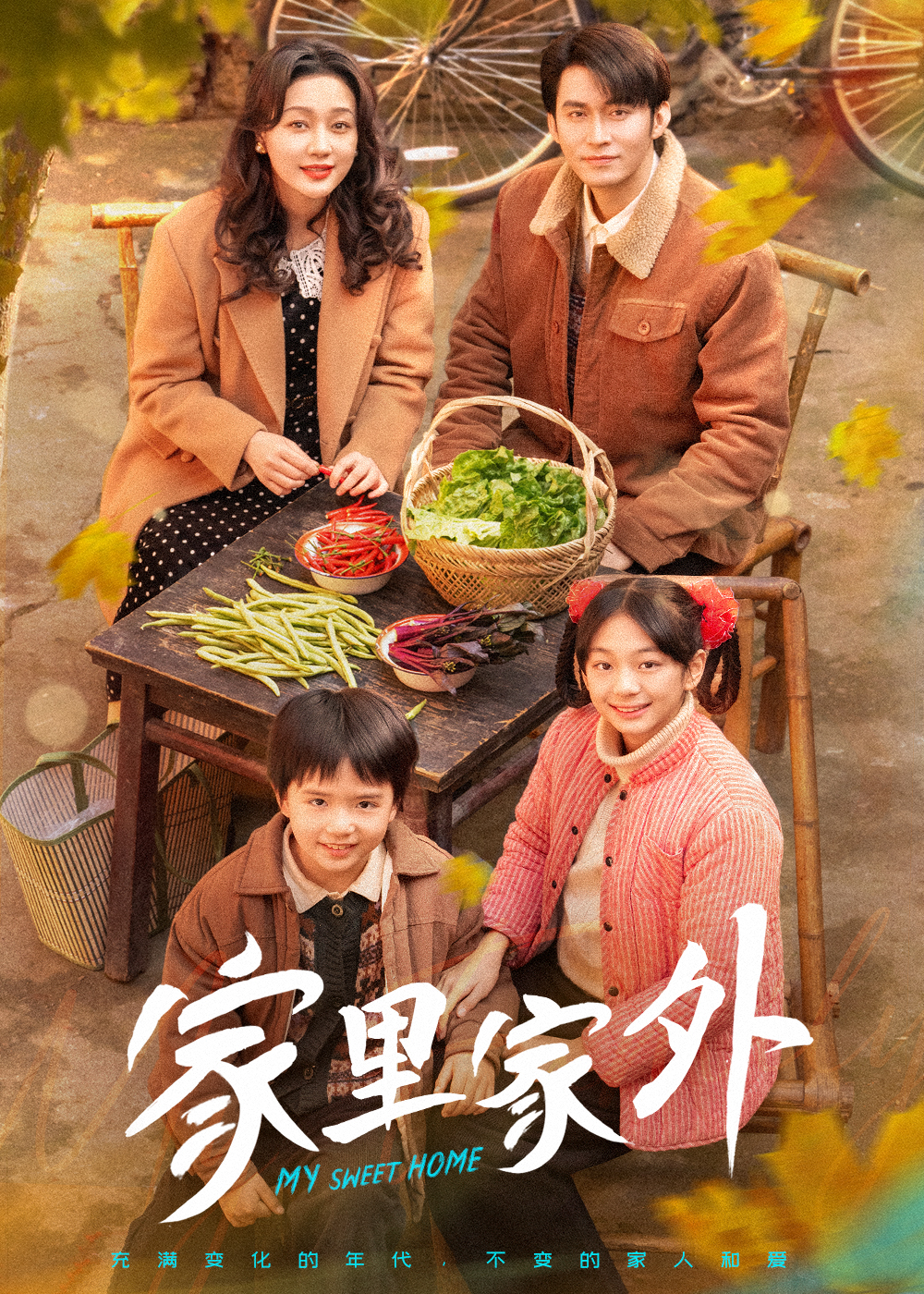 家里家外短（蓝光）