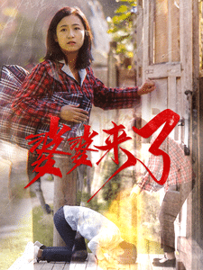 婆婆来了短（1080）