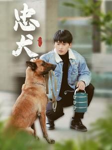 忠犬短（1080）