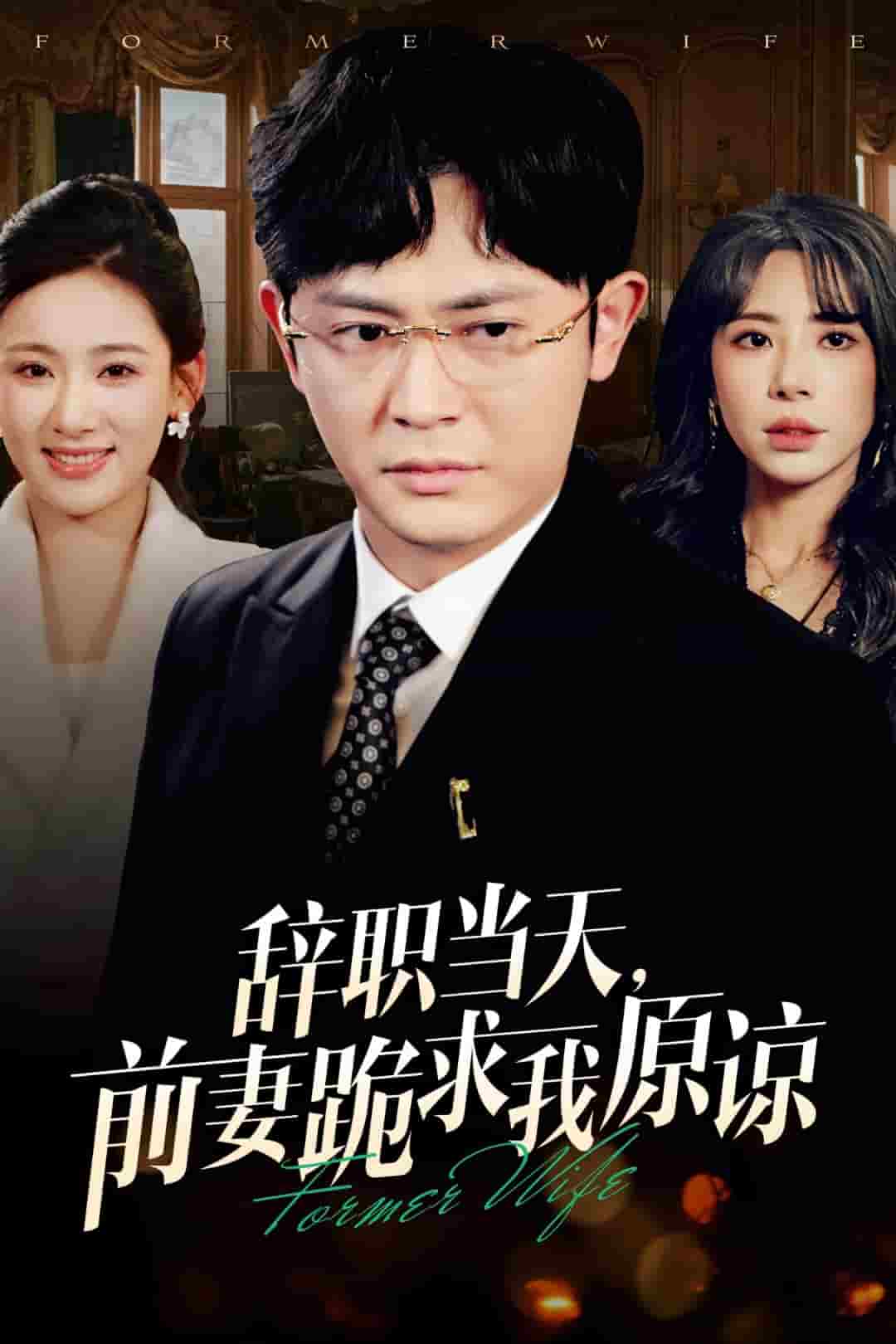 辞职当天前妻哭着求我原谅（蓝光）