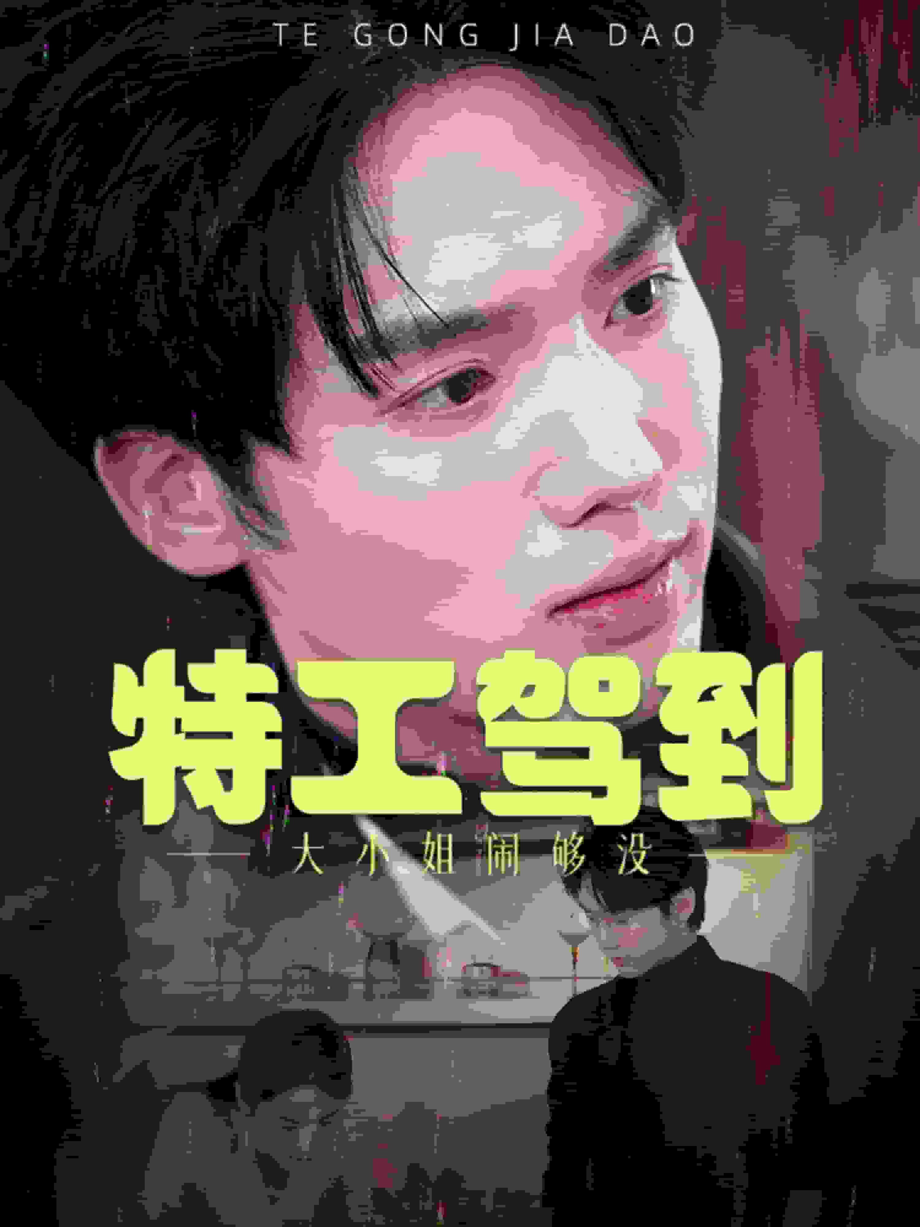 特工驾到大小姐别闹了（1080）
