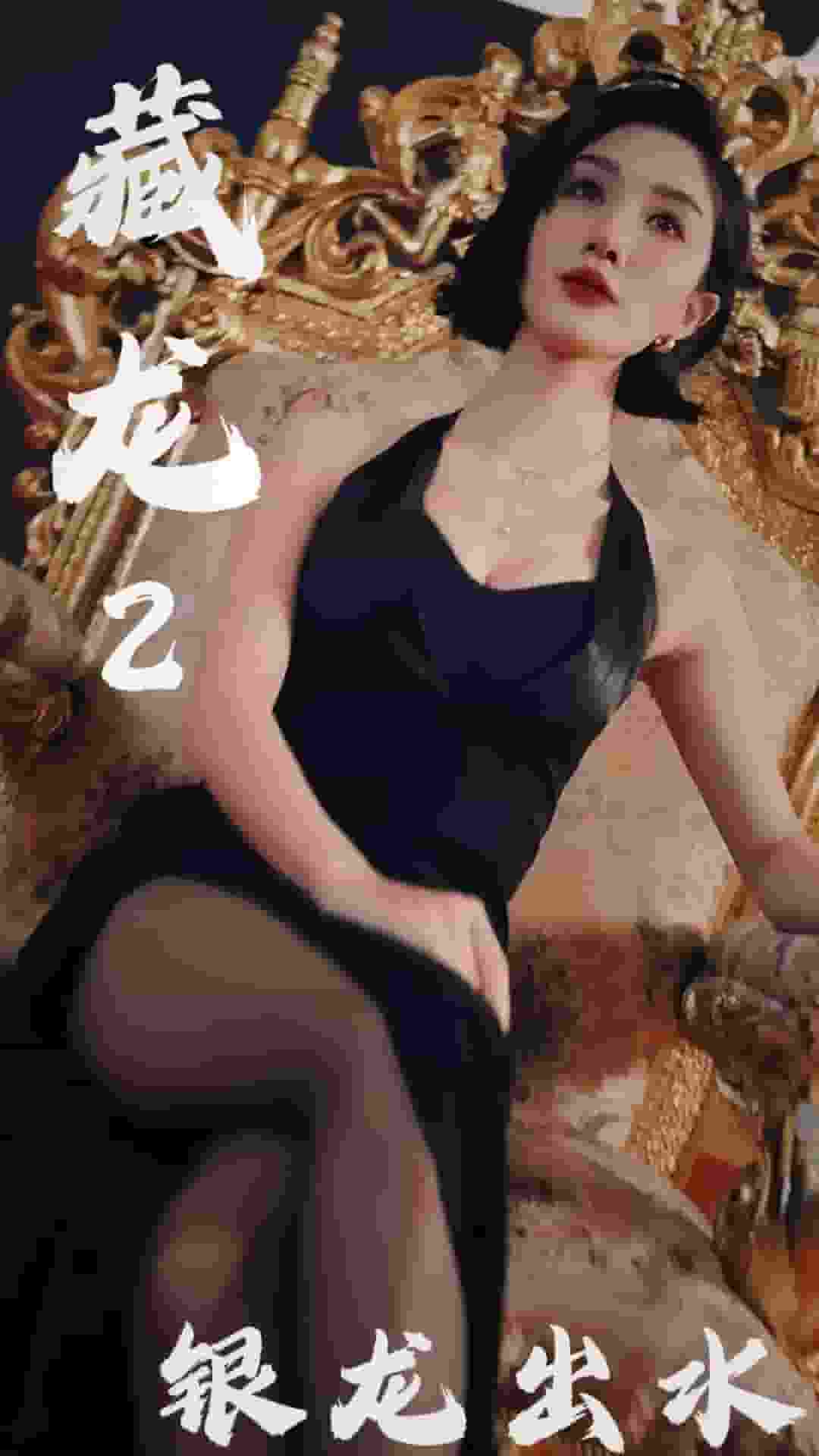藏龙2银龙出水（1080）
