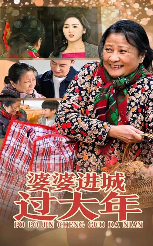 婆婆进城过大年（1080）