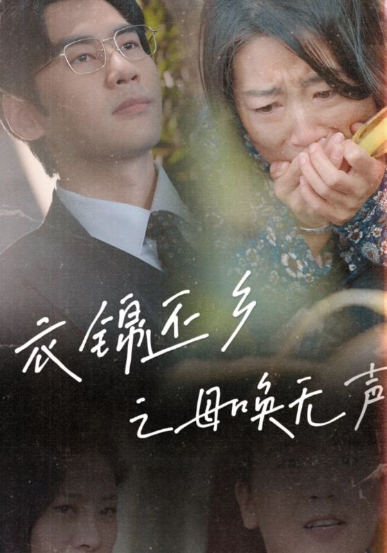 衣锦还乡之母唤无声（蓝光）
